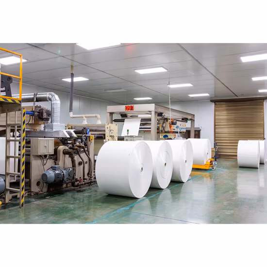 竹繊維リサイクル可能分解性カップディナー食器パーティーランチョン環境に優しい素材の食器